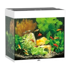 Juwel Aquarium Lido 120 weiß