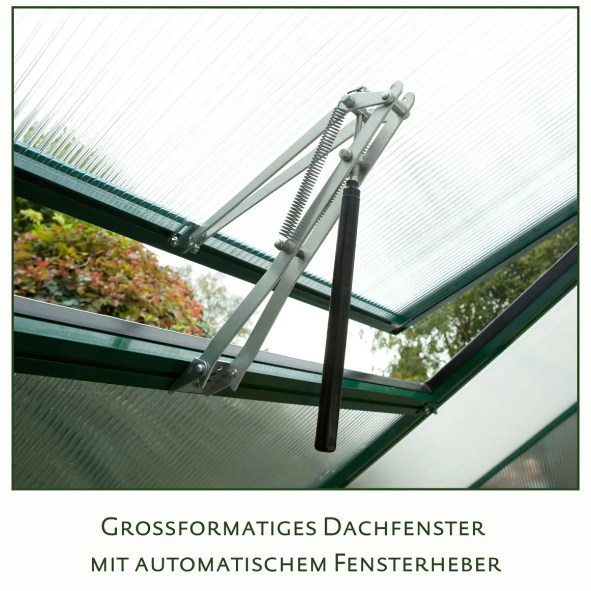 KGT Gewächshaus Lilie IV 12,75m² grün