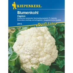 Kiepenkerl Blumenkohl Clapton