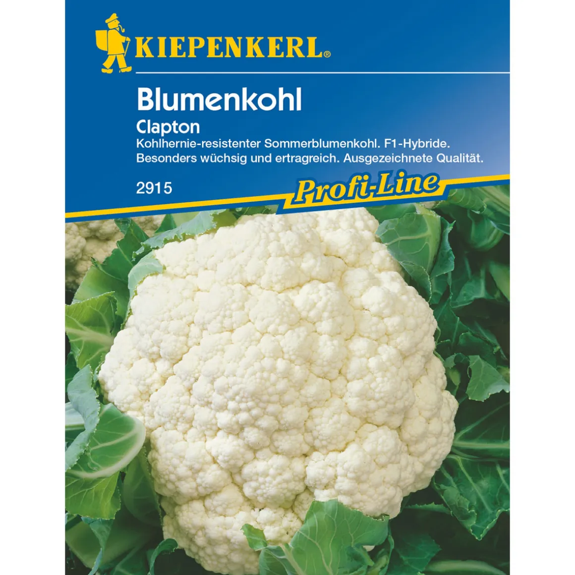 Kiepenkerl Blumenkohl Clapton