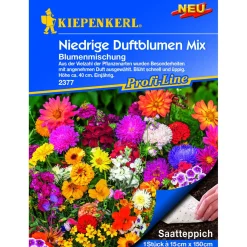 Kiepenkerl Blumenmischung Niedrige Duftblumen Saatteppich