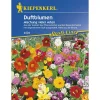 Kiepenkerl Duftblumenmischung einjährig Profi-Line