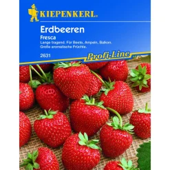 Kiepenkerl Erdbeeren Fresca