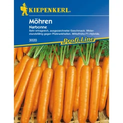 Kiepenkerl Möhre Narbonne