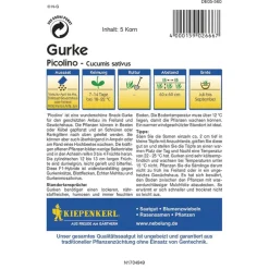 Kiepenkerl Mini-Snack-Salatgurke Picolino F1