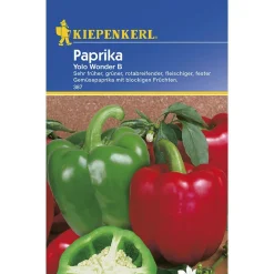 Kiepenkerl Paprika Yolo Wonder B