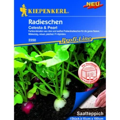 Kiepenkerl Radieschen Celesta Pearl Saatteppich