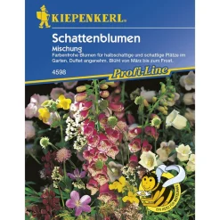 Kiepenkerl Schattenblumen Mischung Profi-Line