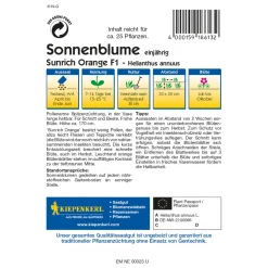 Kiepenkerl Sonnenblume Sunrich Orange
