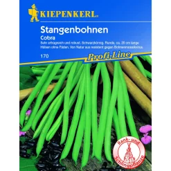 Kiepenkerl Stangenbohne Cobra