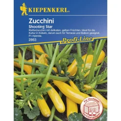 Kiepenkerl Zucchini Shooting Star