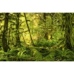 Komar Vlies Fototapete Ancient World 400x250 cm