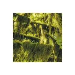 Komar Vlies Fototapete Ancient World 400x250 cm