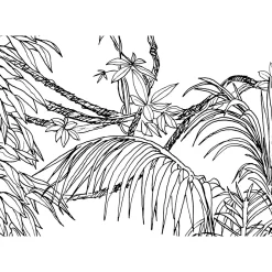 Komar Vlies Fototapete Blanca 400x280 cm