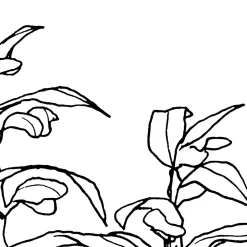 Komar Vlies Fototapete Blanca 400x280 cm