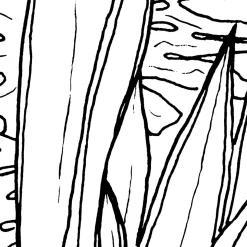 Komar Vlies Fototapete Blanca 400x280 cm