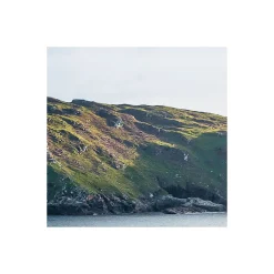 Komar Vlies Fototapete Breath Taking 400x250 cm