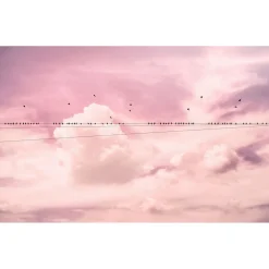 Komar Vlies Fototapete Cloud Wire 400x250 cm