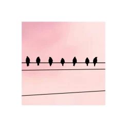 Komar Vlies Fototapete Cloud Wire 400x250 cm