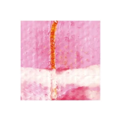 Komar Vlies Fototapete Cells Wrapping 500x280 cm