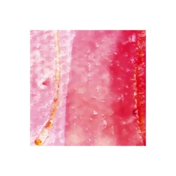 Komar Vlies Fototapete Cells Wrapping 500x280 cm