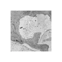 Komar Vlies Fototapete Concrete World 500x250 cm