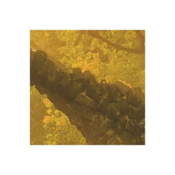 Komar Vlies Fototapete Devil's Bridge 400x250 cm