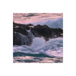 Komar Vlies Fototapete Forbidden Love 400x250 cm