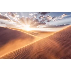 Komar Vlies Fototapete Gently Touched 400x250 cm