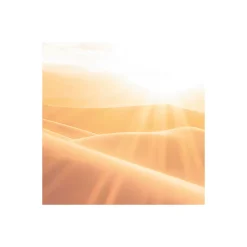 Komar Vlies Fototapete Gently Touched 400x250 cm