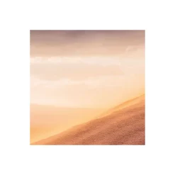 Komar Vlies Fototapete Gently Touched 400x250 cm