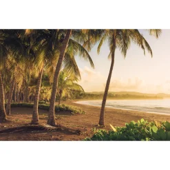 Komar Vlies Fototapete Golden Lands 400x250 cm