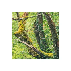 Komar Vlies Fototapete Green Tales 400x250 cm