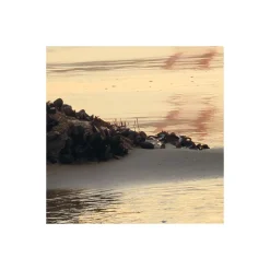 Komar Vlies Fototapete Golden Gate 400x250 cm