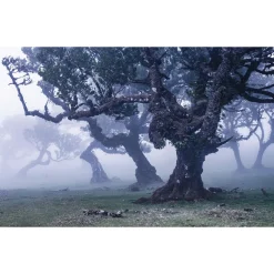 Komar Vlies Fototapete Ghost Line 400x250 cm