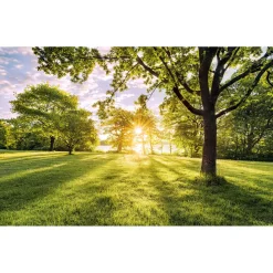 Komar Vlies Fototapete Golden Moment 400x250 cm