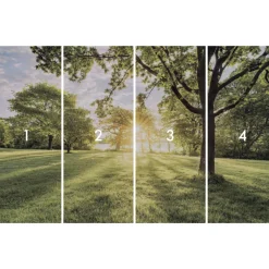 Komar Vlies Fototapete Golden Moment 400x250 cm