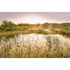 Komar Vlies Fototapete Morning View II 400x250 cm