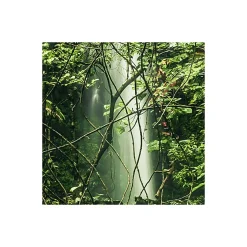 Komar Vlies Fototapete My Hidden Treasure 400x250 cm