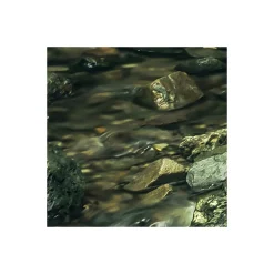 Komar Vlies Fototapete My Hidden Treasure 400x250 cm