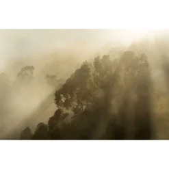 Komar Vlies Fototapete Misty Mountain 400x250 cm