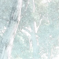 Komar Vlies Fototapete Magic Trees 300x280 cm