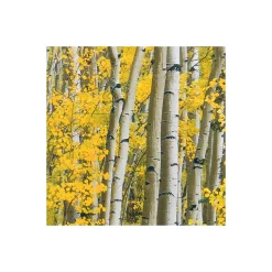 Komar Vlies Fototapete Orange Forest 400x250 cm