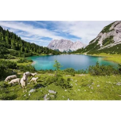 Komar Vlies Fototapete Paradise Lake 400x250 cm