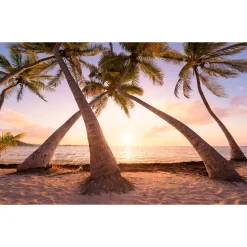 Komar Vlies Fototapete Reaching the Sun 400x250 cm