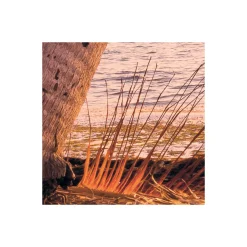 Komar Vlies Fototapete Reaching the Sun 400x250 cm