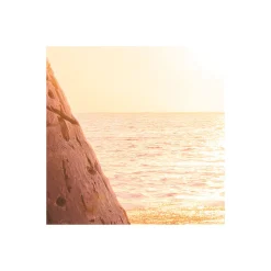 Komar Vlies Fototapete Reaching the Sun 400x250 cm