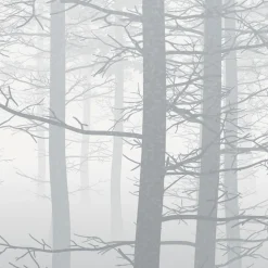 Komar Vlies Fototapete Silver Haze 400x280 cm