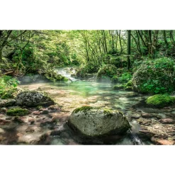 Komar Vlies Fototapete Tranquil Pool 400x250 cm