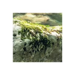 Komar Vlies Fototapete Tranquil Pool 400x250 cm